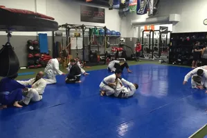 Brazilian Jiu Jitsu